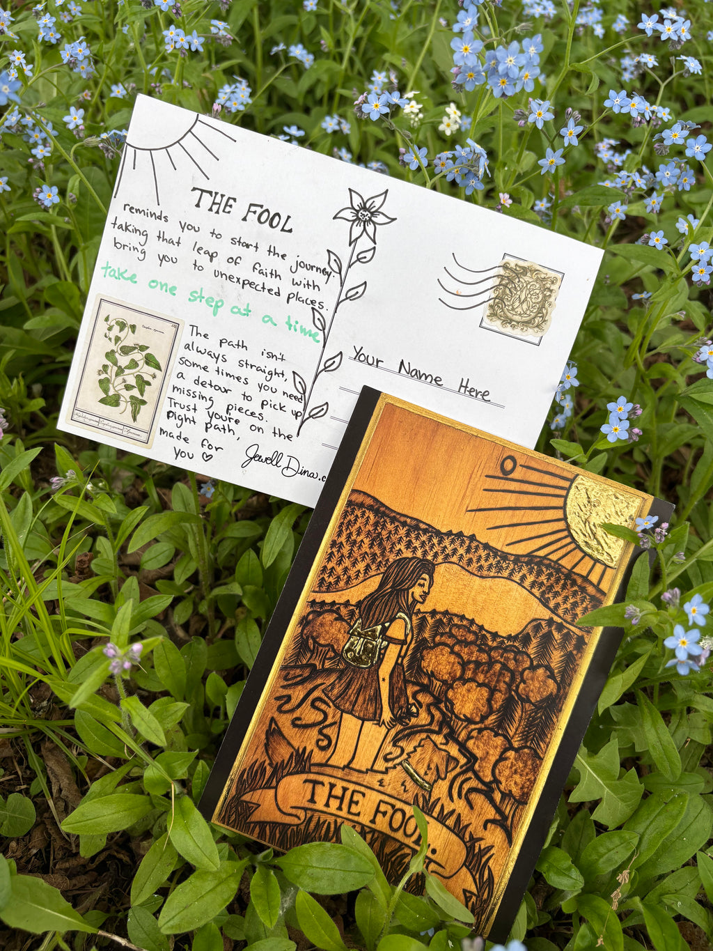 The Fool Postcard